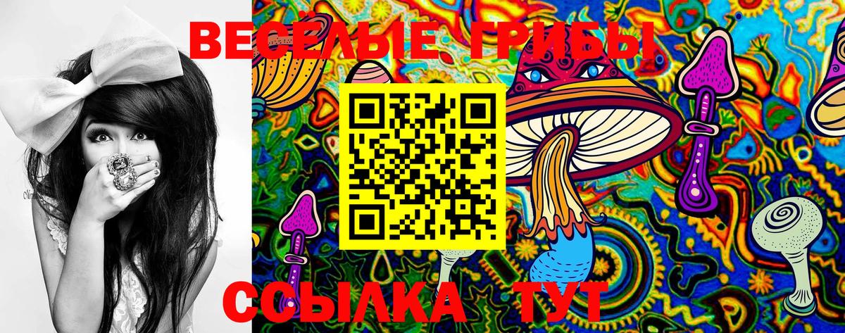 Галлюциногенные грибы мицелий Артёмовский