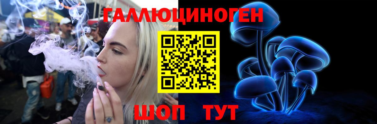 Артёмовский  где купить наркотик  Вход с VPN  Галлюциногенные грибы Cubensis 
